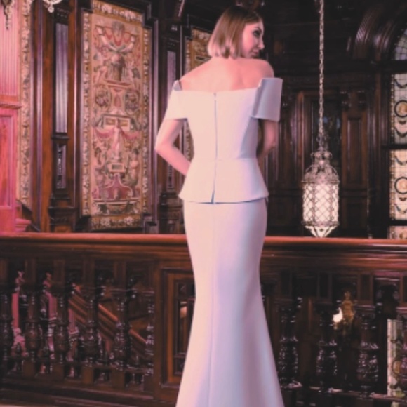 NWT - Alexander by Daymor 1550 Long Plated Formal Peplum Evening Dress - Blush - Picture 7 of 10